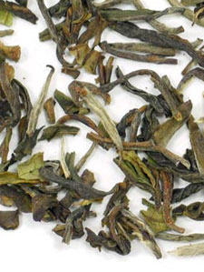 Spring Darjeeling Tea