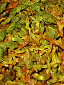 Moonrise's oolong being processed