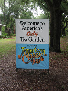 Charleston Tea Plantation Welcome Sign