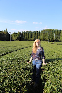 Cynthia Fazekas in a field of tea, on her 2015 tea-buying trip to Japan.