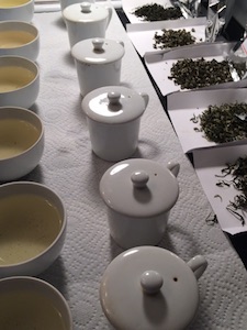 A spread of teas ready for tasting!