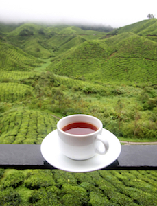 Get inspired with the flavor of a high-mountain tea.