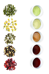 Tea also provides us with a diverse assortment of leaf shapes and colors.