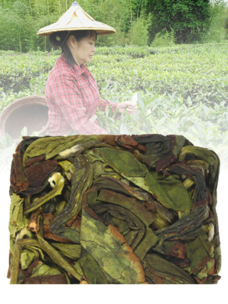zhang ping shui xian and farmer Yuan Xiao Zhen