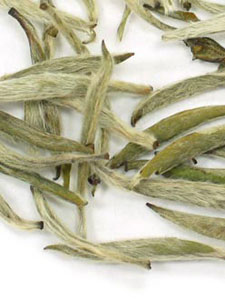 Silver Needle White Tea