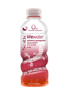 Sobe Lifewater