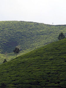 Kerala, India