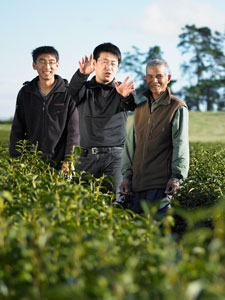 Vincent of Zealong in his tea garden