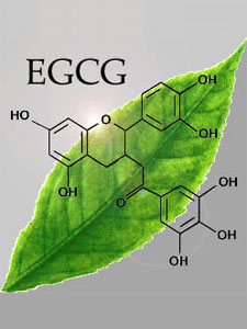 Tea Chemistry