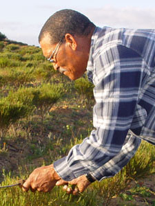 Rooibos farmer, Niklaas Slinger