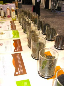 Part of the Adagio Teas display