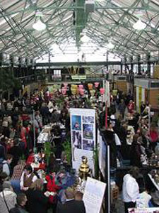 Crowds at the Victoria Tea Festival