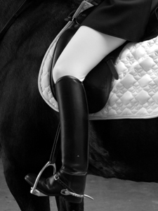 Equestrian style is always sleek