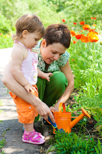 Tea has many uses in the garden!