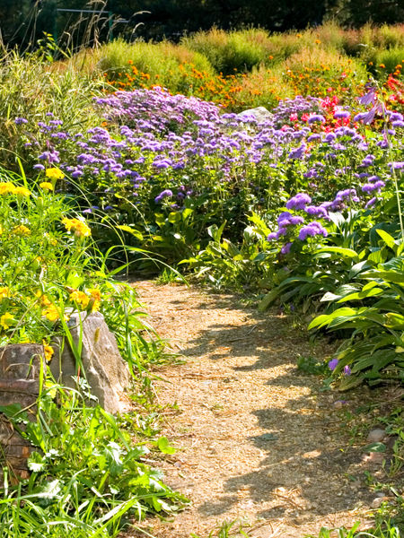 Take a walk through some flowers