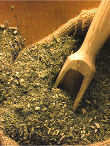 Yerba Mate