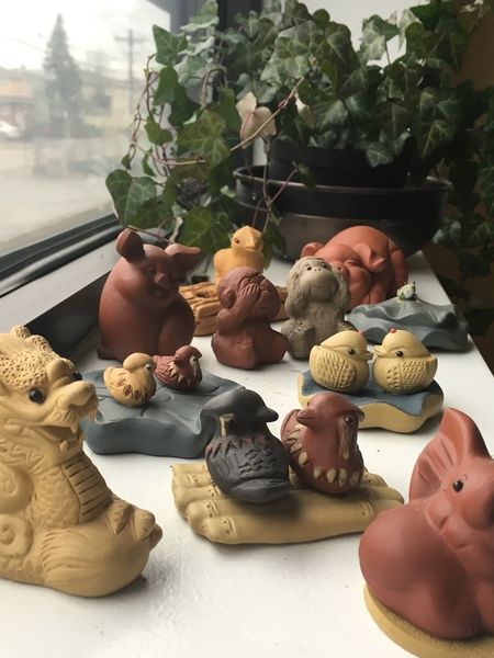 The small menagerie in the Adagio office!