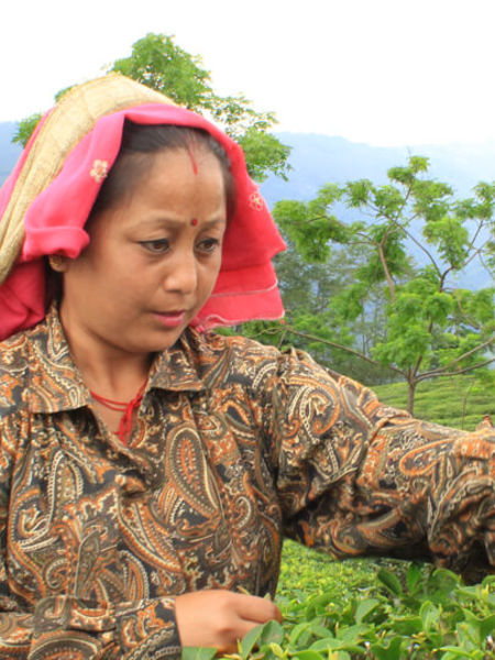 Bandana Pradham, our farmer