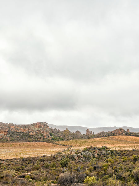 Rooibos tea plantations near Wupperthal in the Cederberg Mountains
