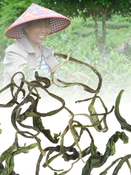 yun wu and farmer Zhao Bi Yun