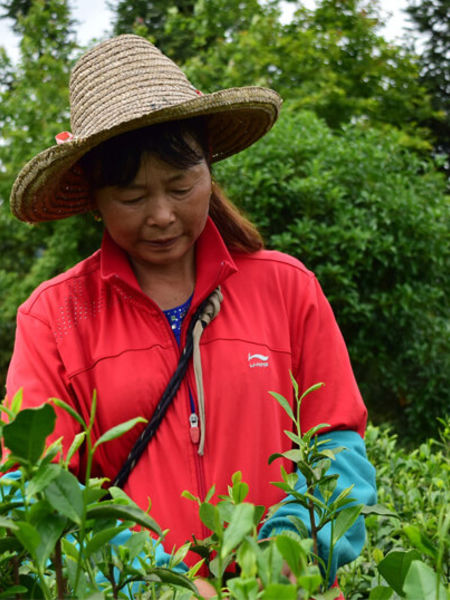  Yang Li Hua, our farmer, says, 