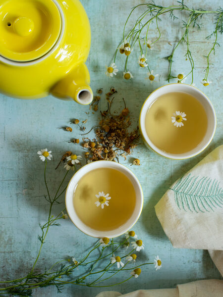 I’m particularly sentimental about this flower because chamomile is a big part of my Serbian heritage and culture. My dad would tell me about growing up picking chamomile flowers growing wild on the hills by the river in his village, and how his mother would store them for tea.