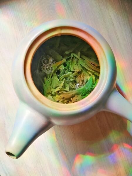 Shincha - 新茶 or "new tea" refers to the first flush of tea leaves harvested after the dormant winter months.
