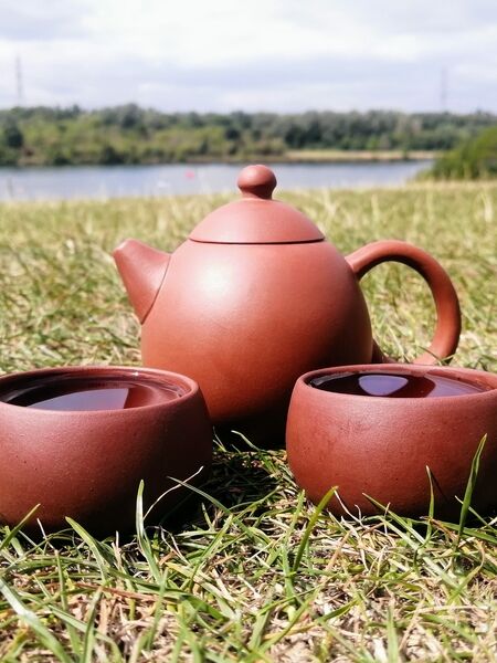 Discover Master's Teas array of authentic yixing teapots. Each is handcrafted and designed for gong fu brewing inside or out.