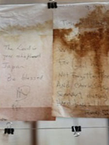 Photo by Cynthia Fazekas