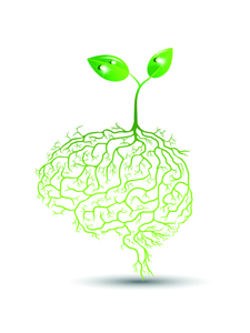 Green Tea Helps Prevent Causes of Dementia ECGC, Found in Green Tea, May Help Prevent Some Causes of Dementia