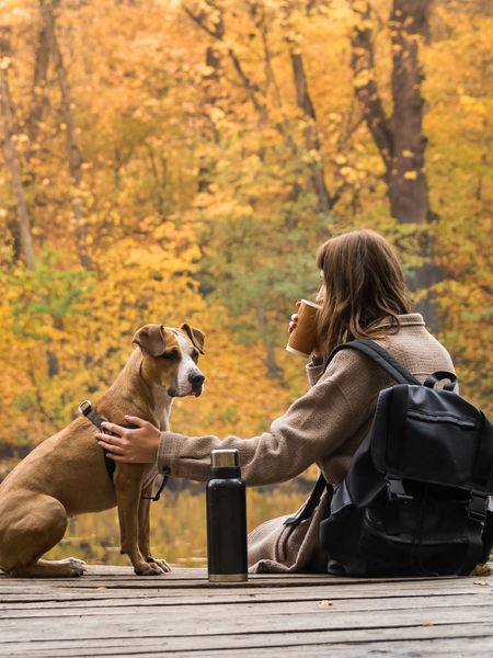 Tea On-the-Go: What you need to know! Travel with tea!