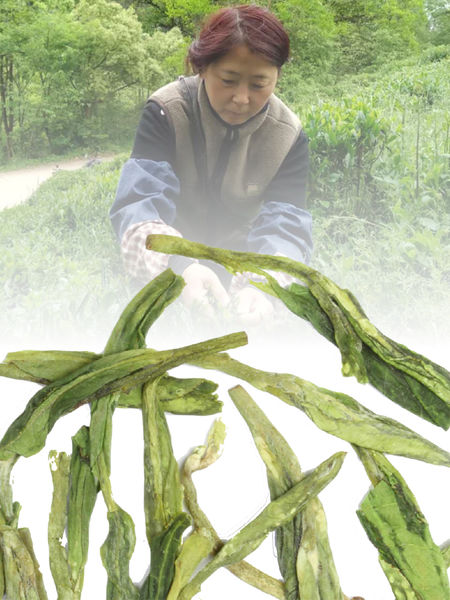 Tea Spotlight: 4 Fantastic Masters do fo long jing and farmer Liu Yi Qian