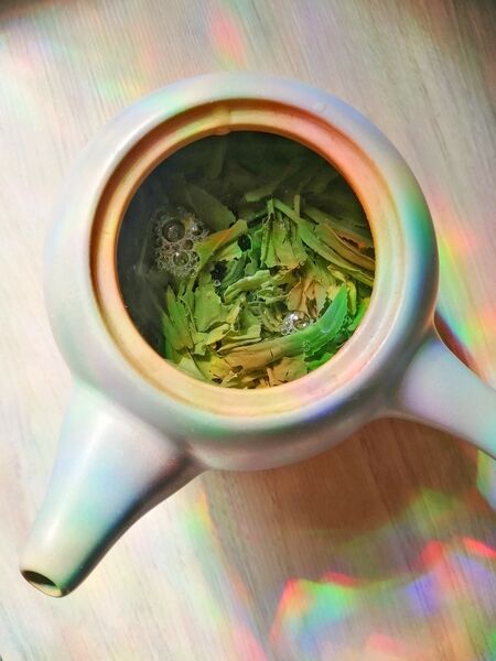 Fresh Shincha: Japan’s First Flush Green Tea Shincha - 新茶 or "new tea" refers to the first flush of tea leaves harvested after the dormant winter months.